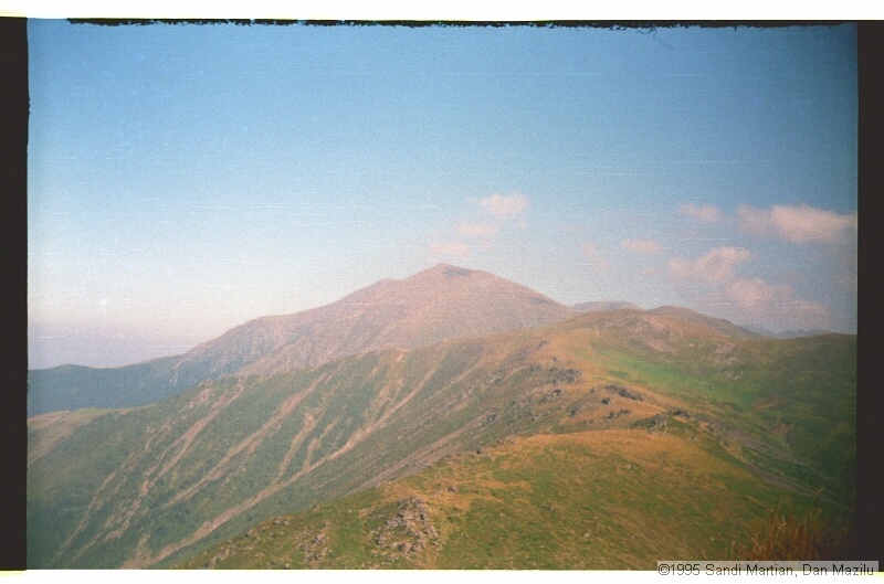IMG3225.jpg