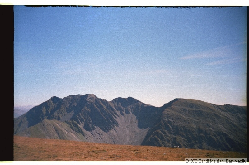 IMG3226.jpg