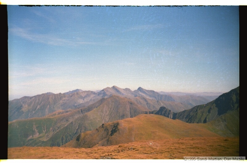 IMG3227.jpg