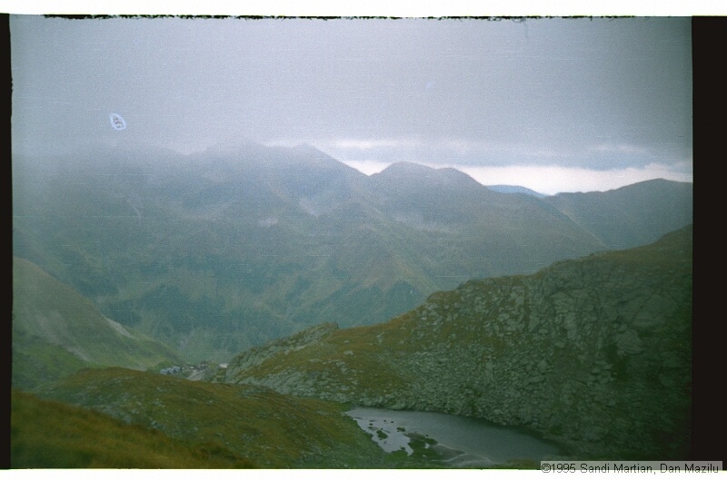 IMG3233.jpg