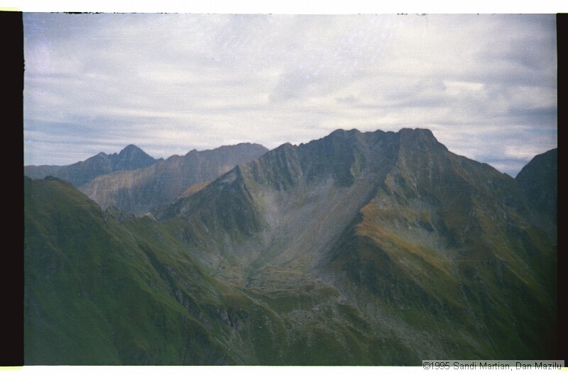 IMG3235.jpg