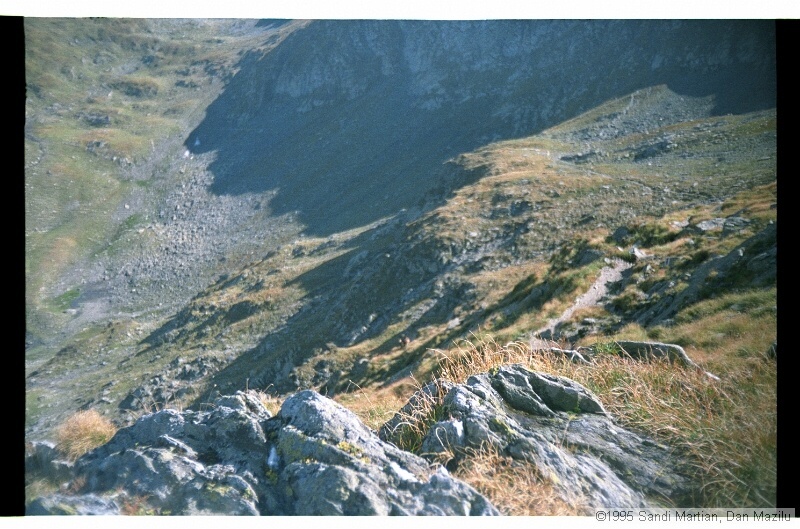 IMG3236.jpg