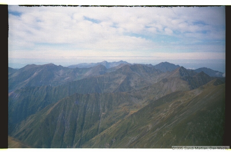IMG3241.jpg