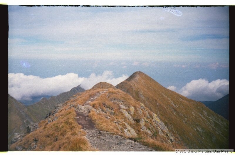 IMG3242.jpg