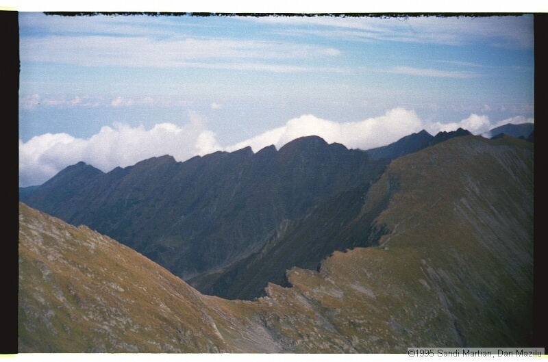 IMG3243.jpg