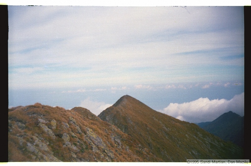 IMG3246.jpg