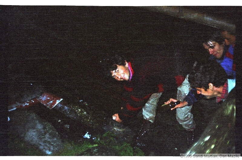 IMG3247.jpg