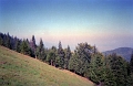 IMG1359