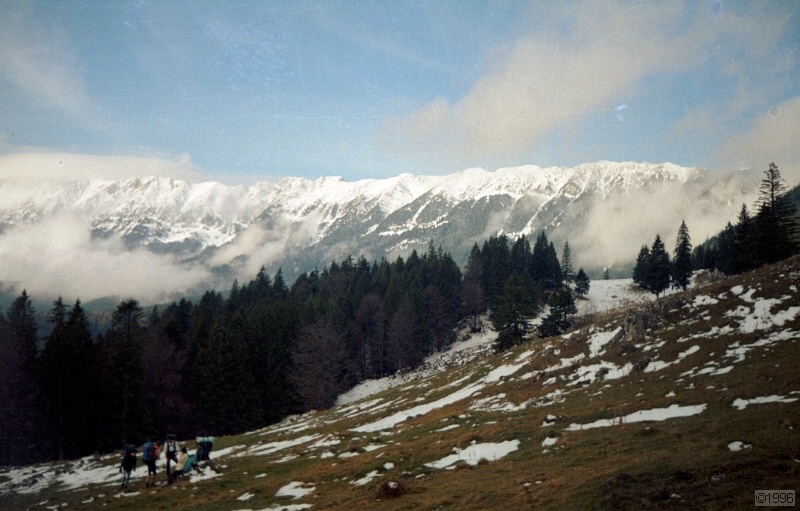 IMG1141.jpg