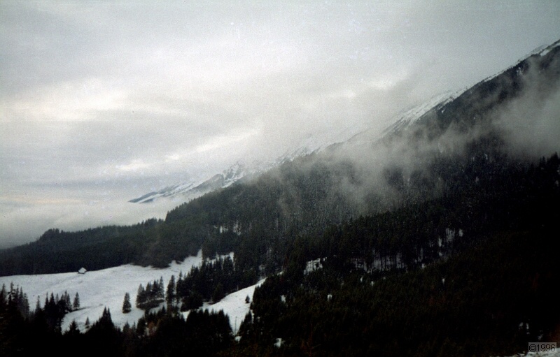 IMG1143.jpg