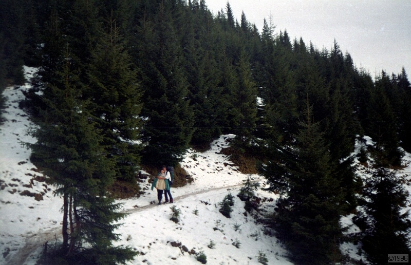 IMG1144.jpg