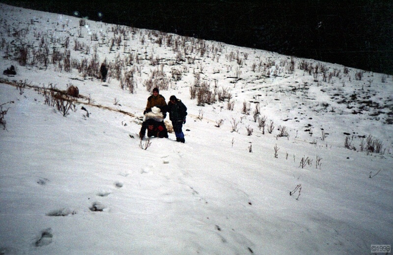 IMG1149.jpg