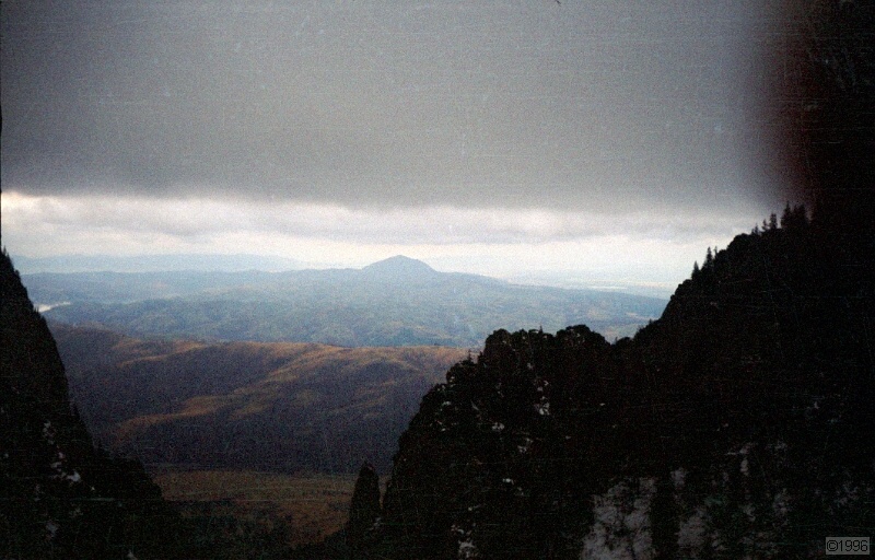IMG1158.jpg