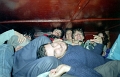 IMG1155