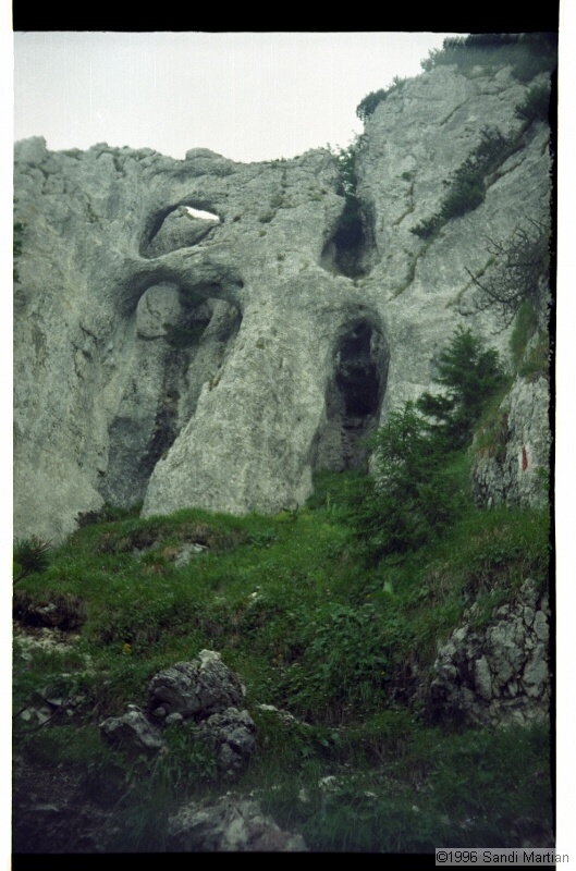IMG3080.jpg