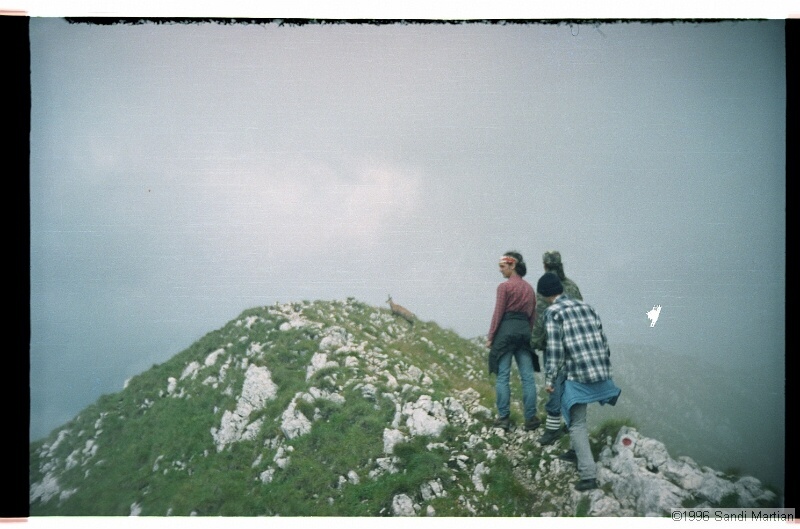 IMG3084.jpg
