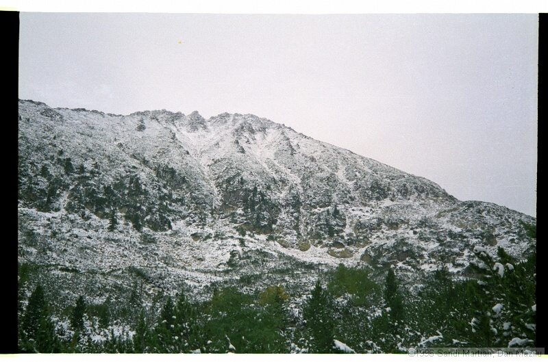 IMG3041.jpg