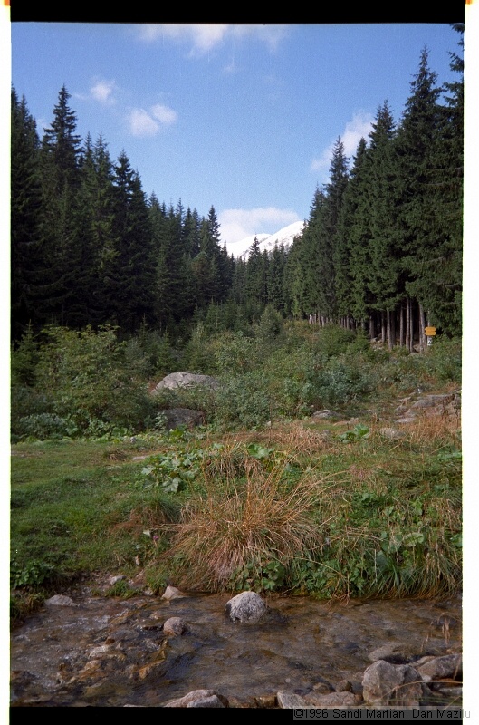 IMG3050.jpg
