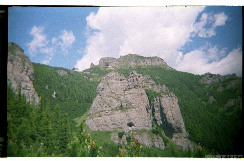 IMG2932.jpg
