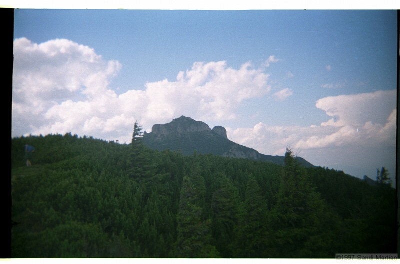 IMG2935.jpg
