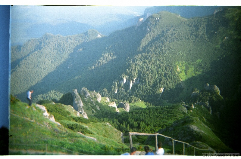 IMG2938.jpg