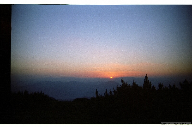 IMG2942.jpg