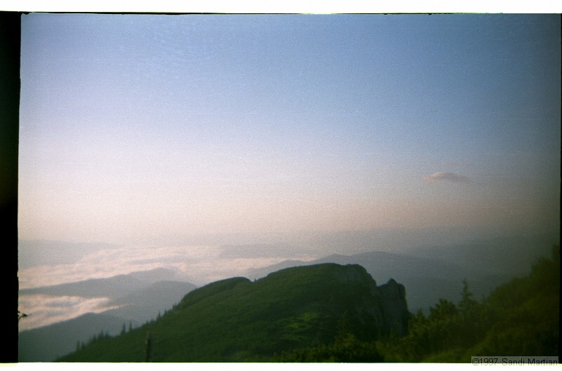 IMG2943.jpg