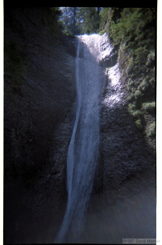 IMG2945.jpg