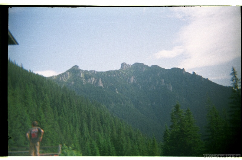 IMG2949.jpg
