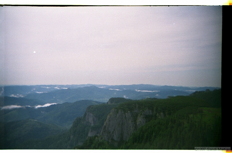 IMG2951.jpg