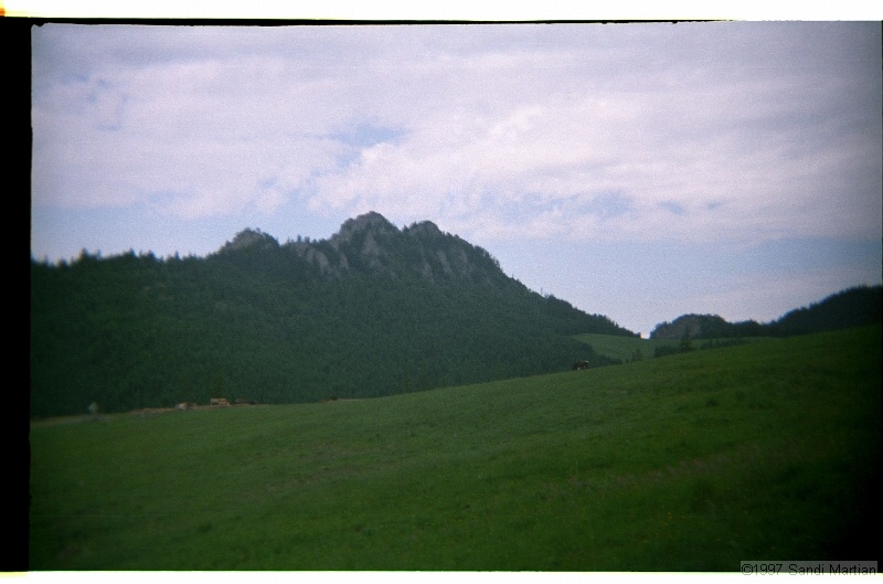 IMG2952.jpg