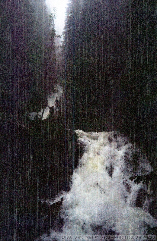 IMG1749.jpg
