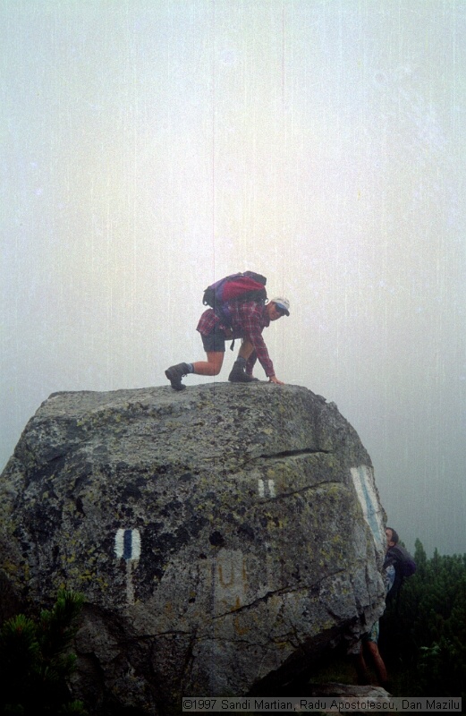 IMG1753.jpg