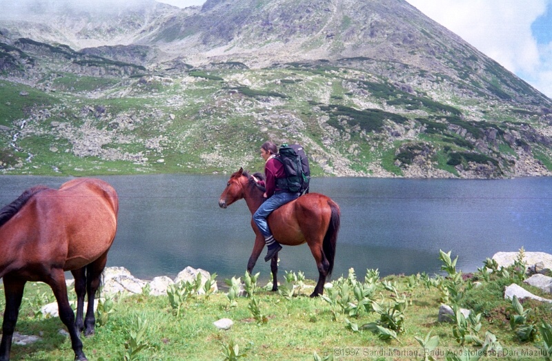 IMG1760.jpg
