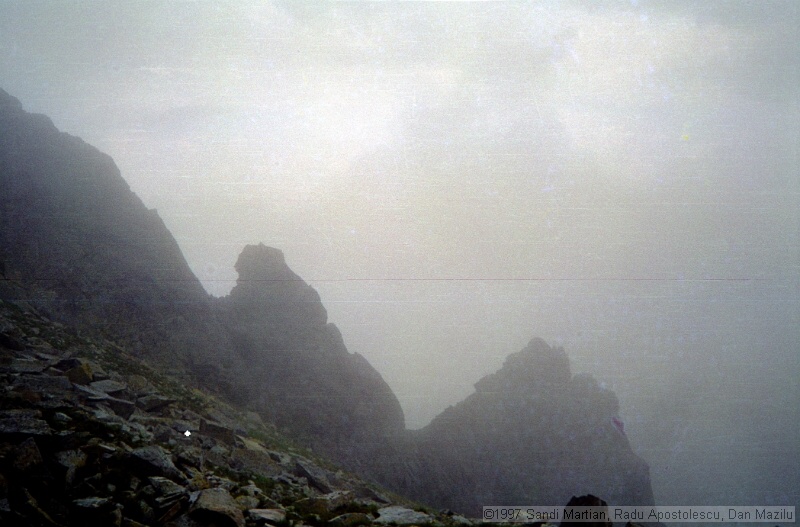 IMG1767.jpg