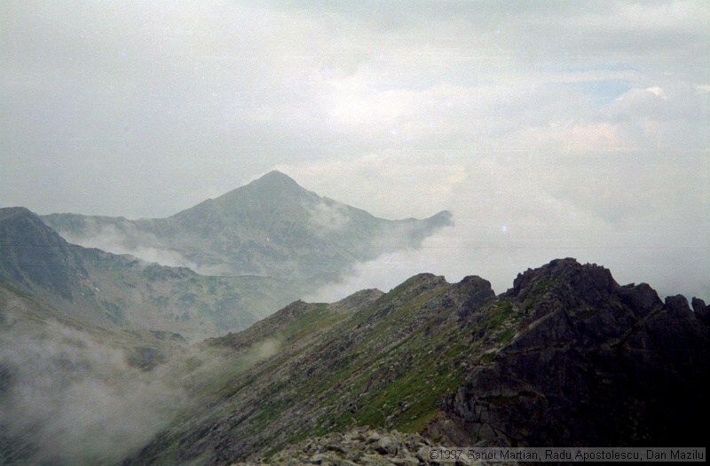 IMG1768.jpg