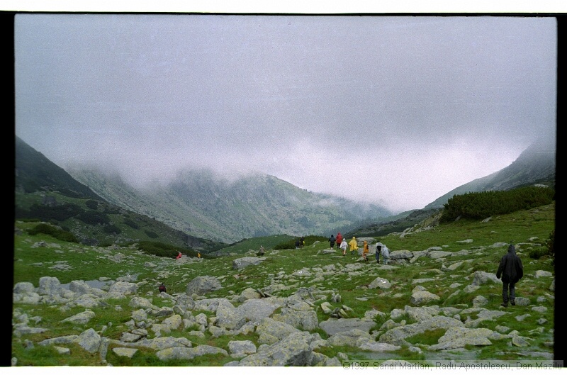 IMG3005.jpg