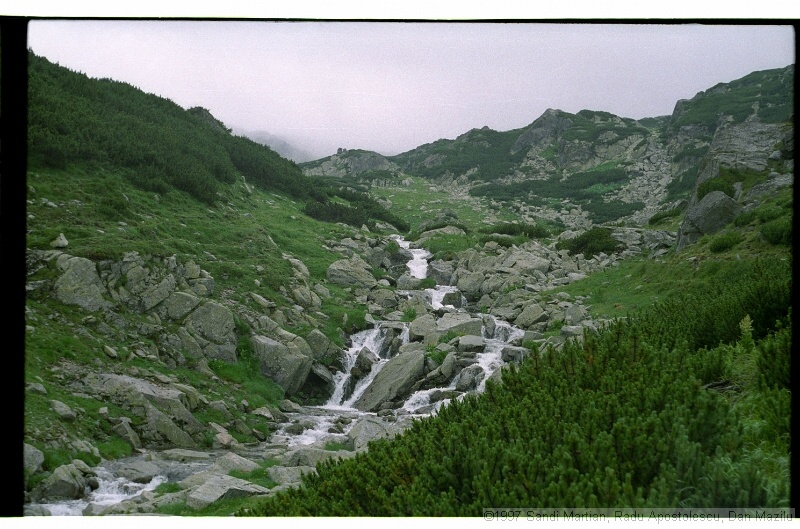 IMG3007.jpg