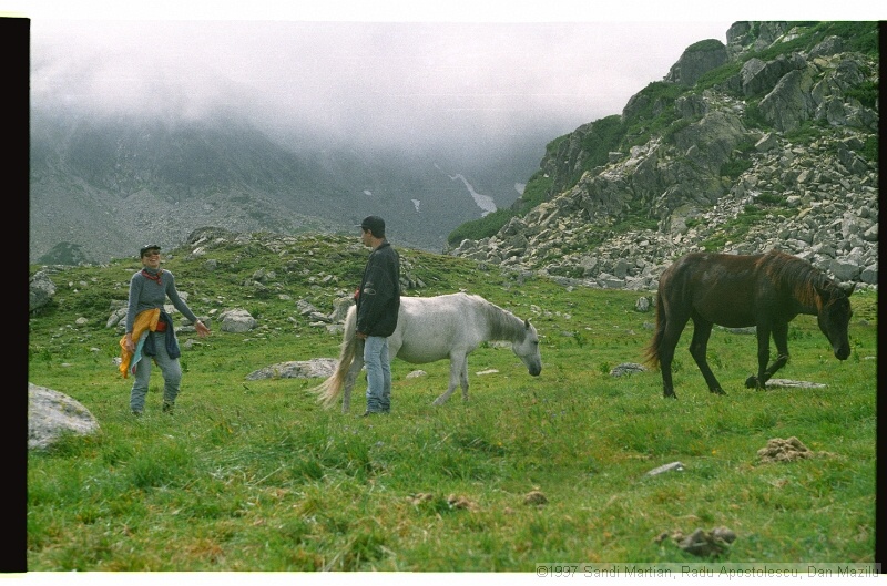 IMG3015.jpg