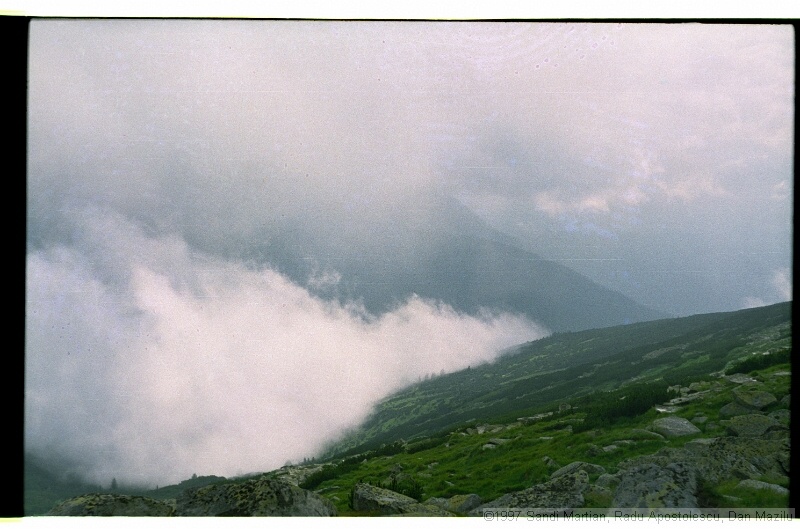 IMG3025.jpg