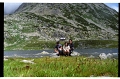 IMG3018