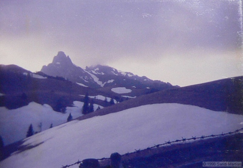 09.jpg