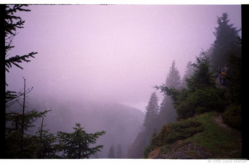 IMG2334.jpg