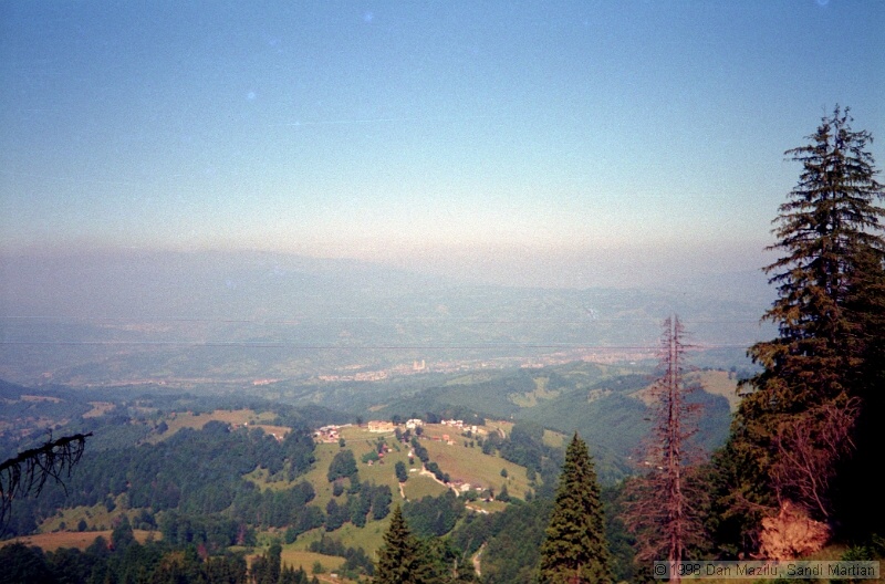IMG1001.jpg