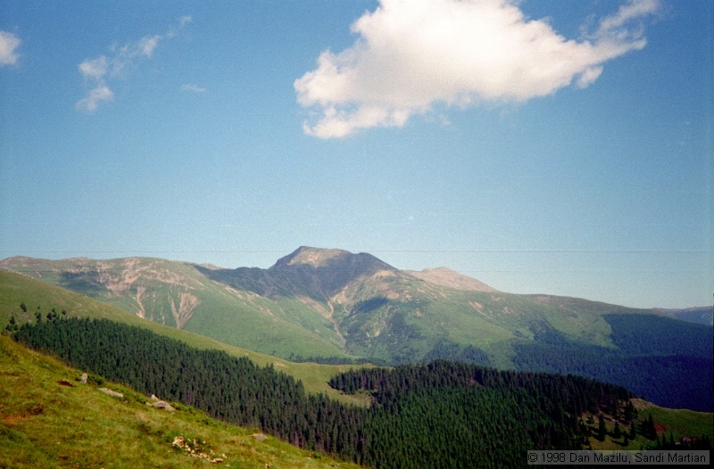 IMG1003.jpg