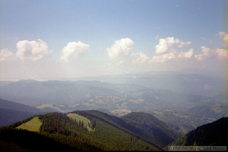 IMG1007.jpg