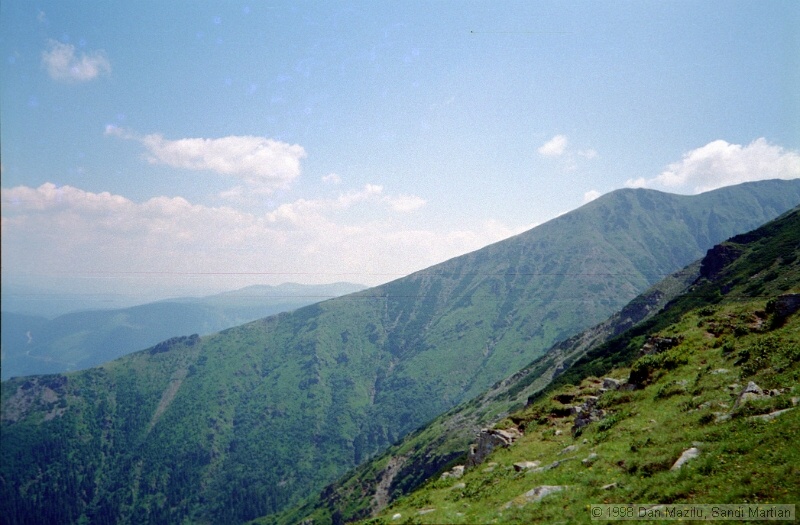 IMG1008.jpg