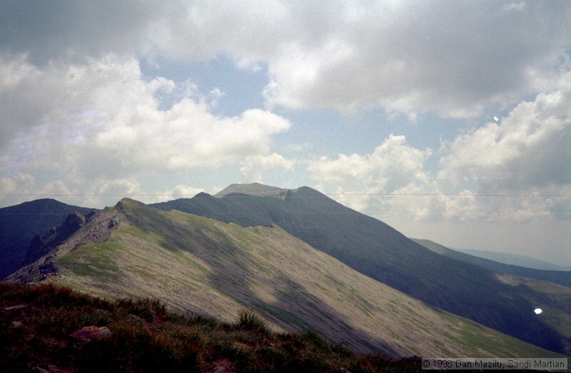 IMG1010.jpg