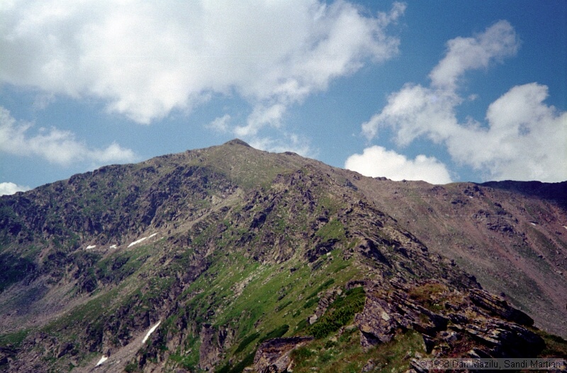 IMG1021.jpg