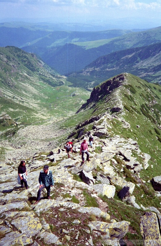 IMG1022.jpg